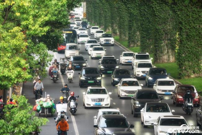 2025年(nian)12月7日，成(cheng)都，高架(jià)橋下爬(pa)滿碧綠(lǜ)的爬山(shan)虎。視覺(jiào)中國