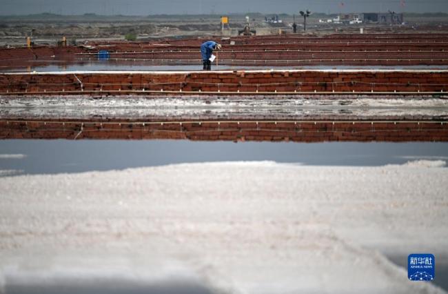 天津(jin)：千年鹽(yán)場迎豐(fēng)收