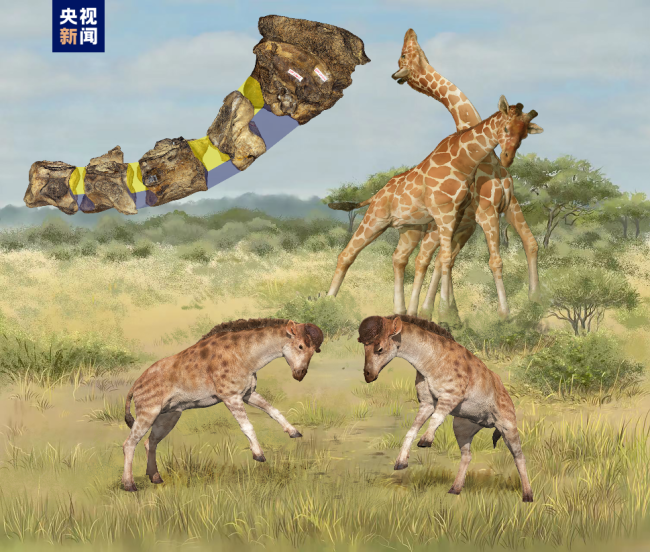 2022年度中(zhōng)國古生(shēng)物學十(shi)大進展(zhǎn)發布