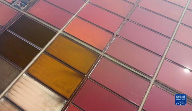 天津:千(qiān)年鹽場(chǎng)迎豐收(shou)