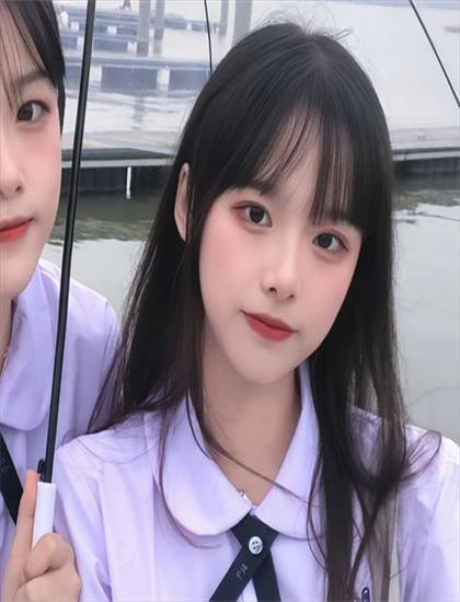 巴拉系列作品比较：各部特点与优劣分析