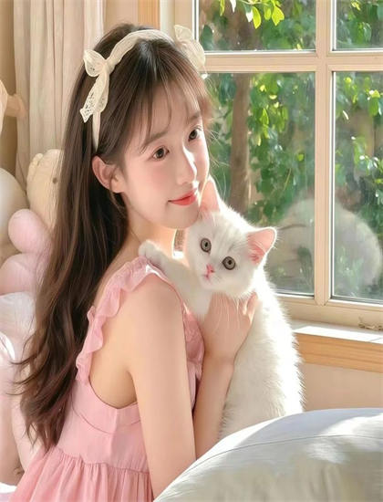 《猫小帅故事》评价对比：专业影评与观众口碑差异